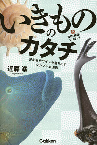 いきもののカタチ 波紋と螺旋とフィボナッチ 続 多彩なデザインを創り出すシンプルな法則／近藤滋【1000円以上送料無料】