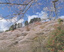 日本の美しい里と花の絶景/富田文雄【1000円以上送料無料】