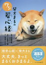 柴犬まるのワン若心経／菅原こころ／加藤朝胤／小野慎二郎【1000円以上送料無料】