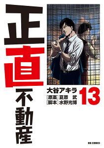 正直不動産 13/大谷アキラ/夏原武/水野光博【1000円以上送料無料】
