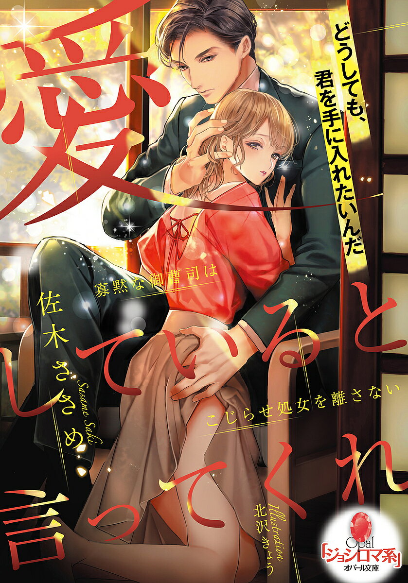Pocketbooks （Romance） - 【送料無料】愛していると言ってくれ 寡黙な御曹司はこじらせ処女を離さない／佐木ささめ