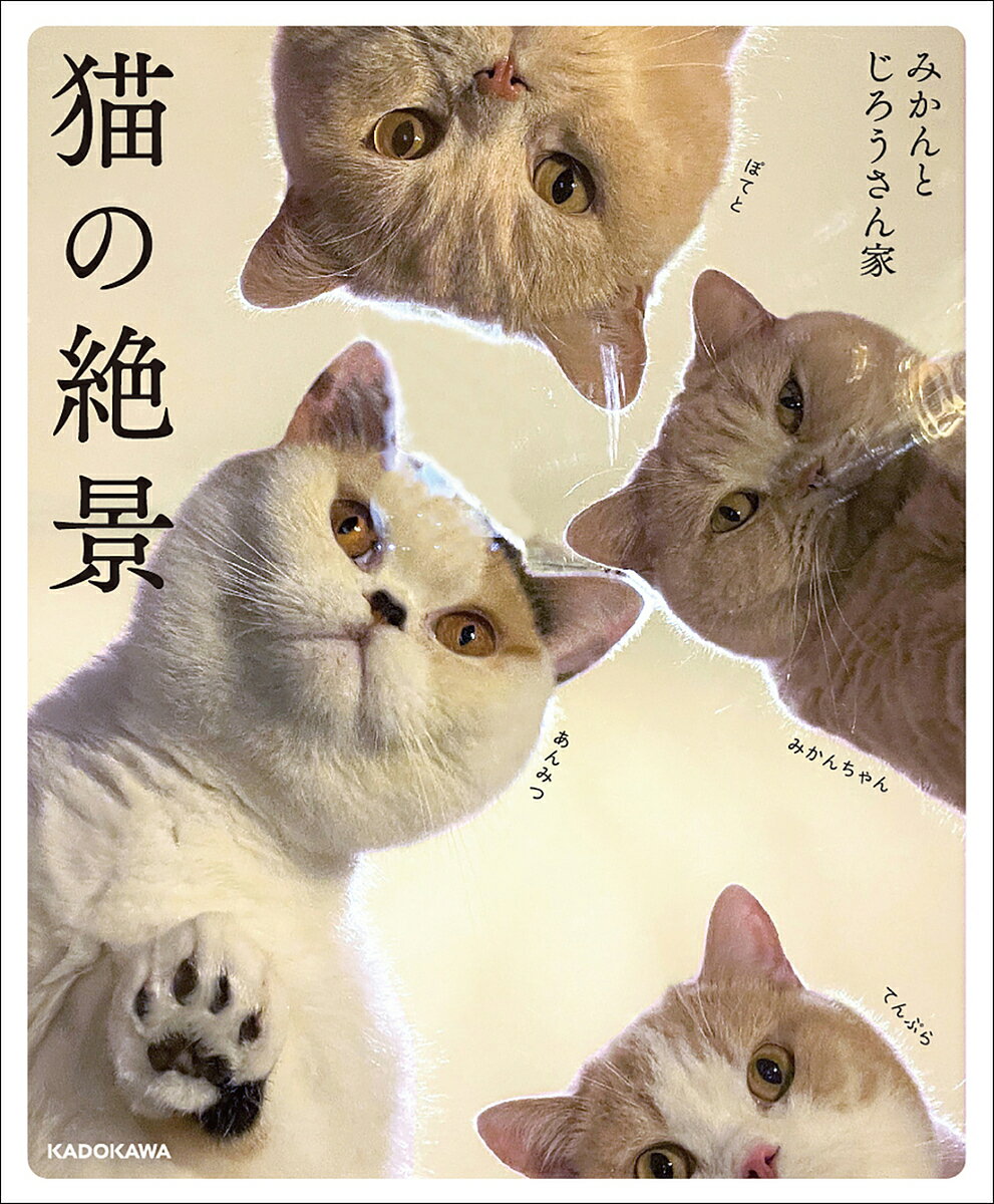 猫の絶景／みかんとじろうさん家【1000円以上送料無料】