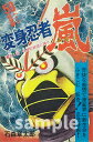 変身忍者嵐1972 完全版 1/石ノ森章太郎【1000円以上送料無料】