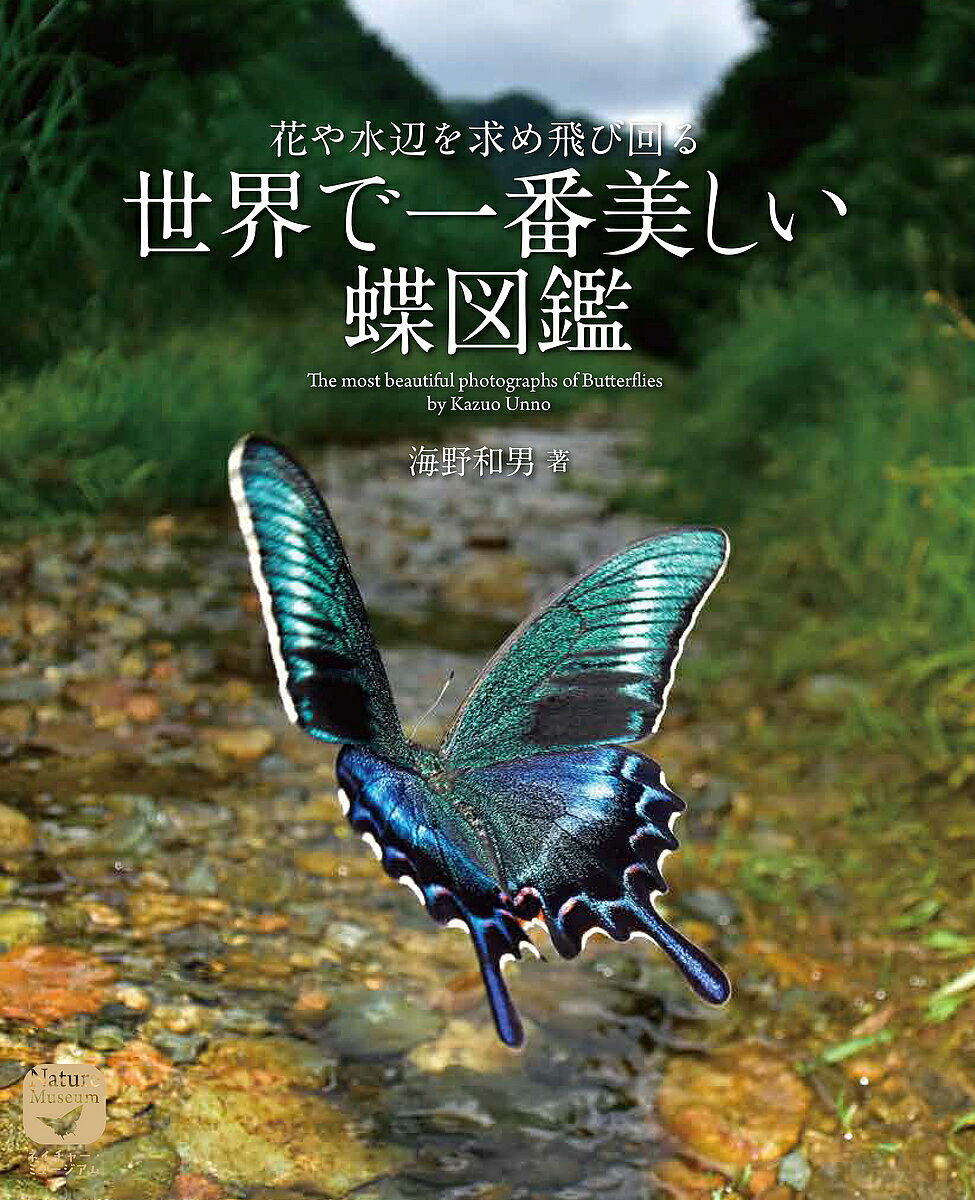 花や水辺を求め飛び回る世界で一番美しい蝶図鑑／海野和男【1000円以上送料無料】