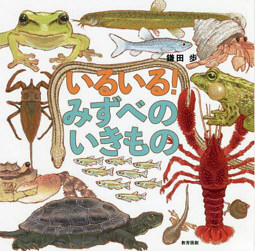 いるいる！みずべのいきもの
