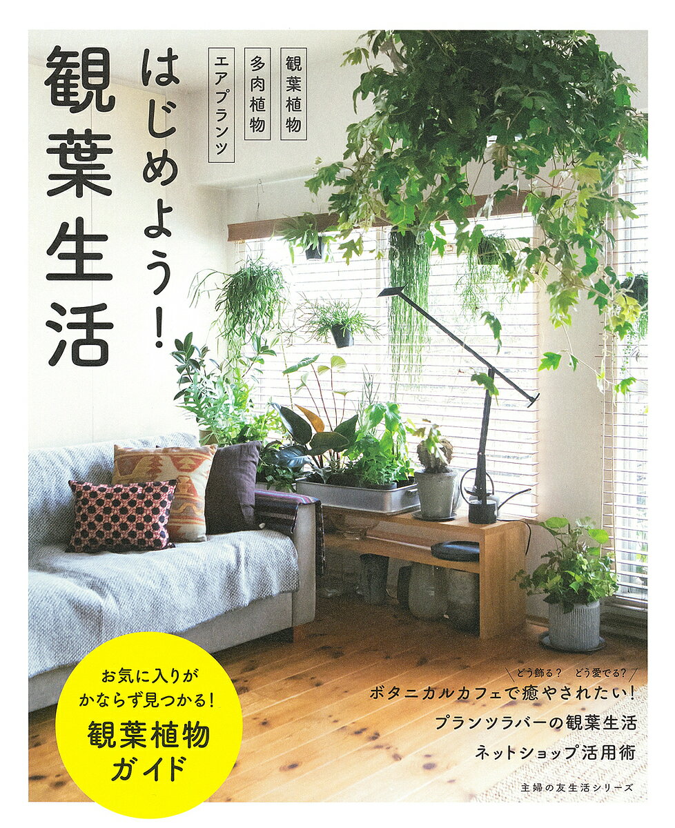 はじめよう!観葉生活 観葉植物多肉植物エアプランツ【1000円以上送料無料】