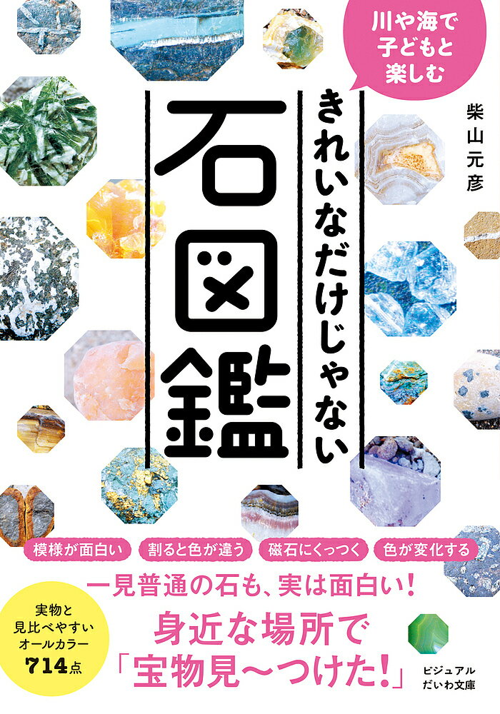 【送料無料】きれいなだけじゃない石図鑑 川や海で子どもと楽しむ／柴山元彦