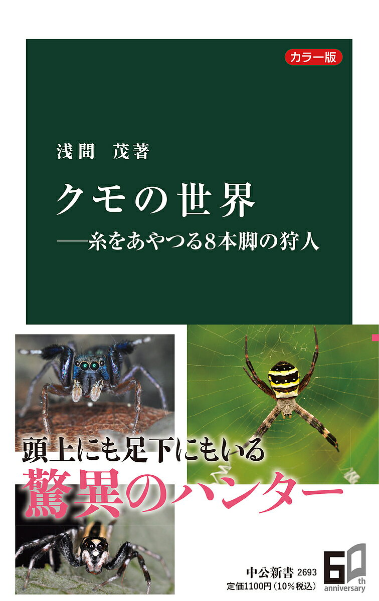 クモの世界 糸をあやつる8本脚の狩人 カラー版／浅間茂【1000円以上送料無料】