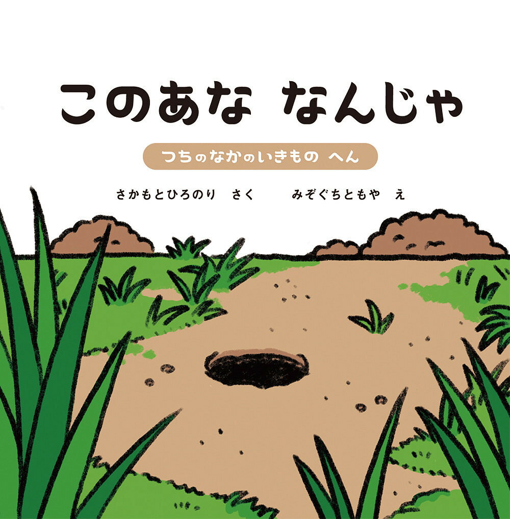 このあななんじゃ 2／みぞぐちともや／子供／絵本【1000円以上送料無料】