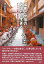 出家と世俗のあいだを生きる インド、女性「家住行者」の民族誌/濱谷真理子【1000円以上送料無料】 5,500円