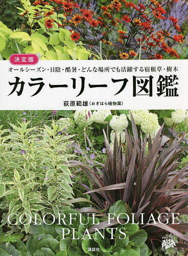 カラーリーフ図鑑 決定版 オールシーズン・日陰・酷暑・どんな場所でも活躍する宿根草・樹木／荻原範雄【1000円以上送料無料】