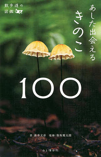 o邫̂100^V䕶F^ۍ⌒Yy1000~ȏ㑗z