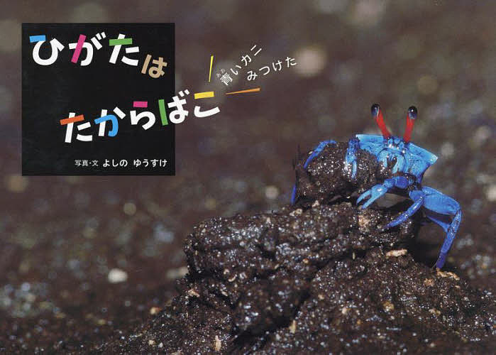 ひがたはたからばこ 青いカニみつけた／よしのゆうすけ／子供／絵本【1000円以上送料無料】のサムネイル