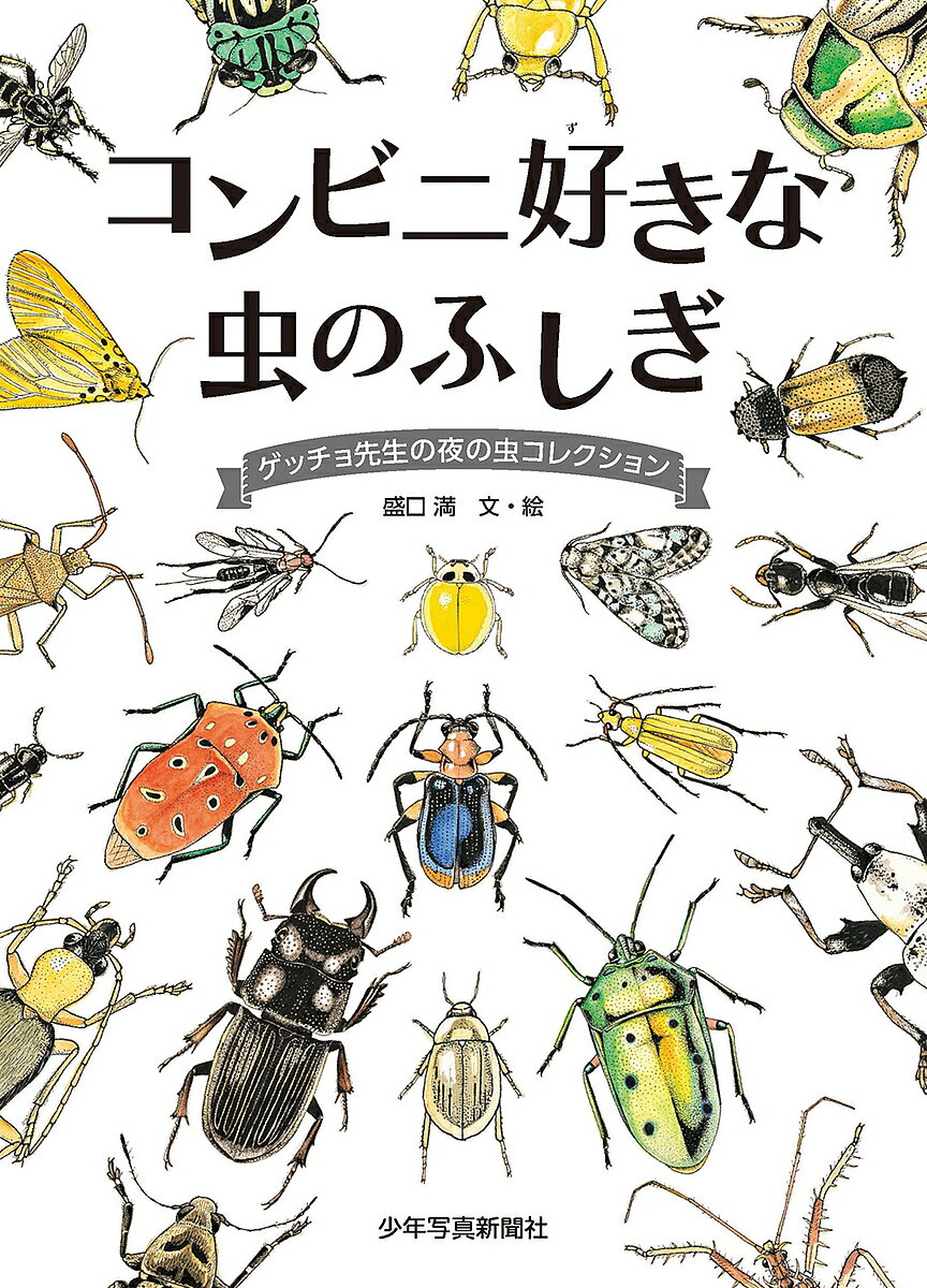 コンビニ好きな虫のふしぎ ゲッチョ先生の夜の虫コレクション／盛口満【1000円以上送料無料】