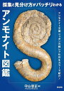 著者守山容正(著)出版社築地書館発売日2022年08月ISBN9784806716402ページ数219Pキーワードさいしゆうとみわけかたがばつちりわかるあんもないと サイシユウトミワケカタガバツチリワカルアンモナイト もりやま ひろまさ モリヤマ ヒロマサ9784806716402内容紹介アンモナイト王国ニッポンの超レア化石をカラーで紹介！写真とともに科ごとのアンモナイトの同定ポイントを詳しく説明。これを読めばアンモナイトの見分け方がわかるようになる。巻末には国内外の関連文献を掲載。【主な内容】白亜紀のアンモナイト／アンモナイト以外の化石／北海道産地別アンモナイト／アンモナイトを見つけよう／アンモナイトを同定しよう／化石のクリーニング※本データはこの商品が発売された時点の情報です。目次白亜紀のアンモナイト—科分類/一緒に採れたその他の化石/北海道産地別特色のあるアンモナイト/アンモナイトを同定しよう/北海道でアンモナイトを見つけよう/化石のクリーニング/続北海道の産地紹介/和泉層群の産地紹介