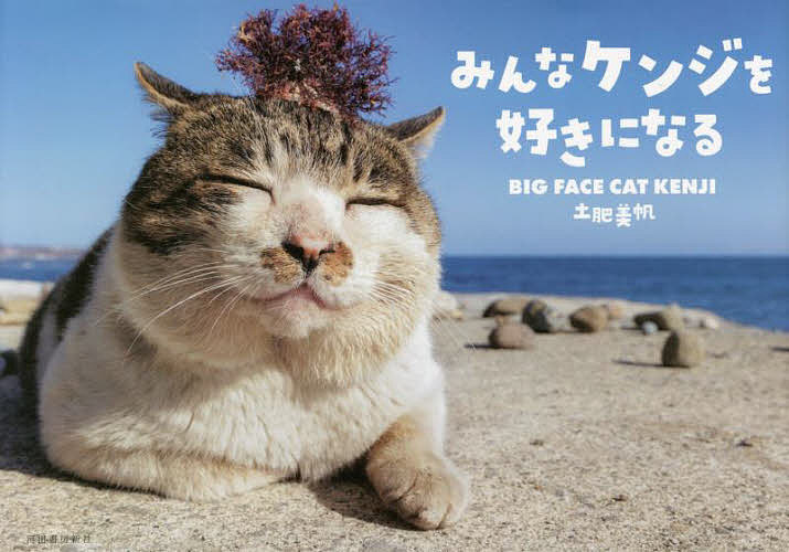 楽天bookfan 2号店 楽天市場店みんなケンジを好きになる BIG FACE CAT KENJI／土肥美帆【1000円以上送料無料】