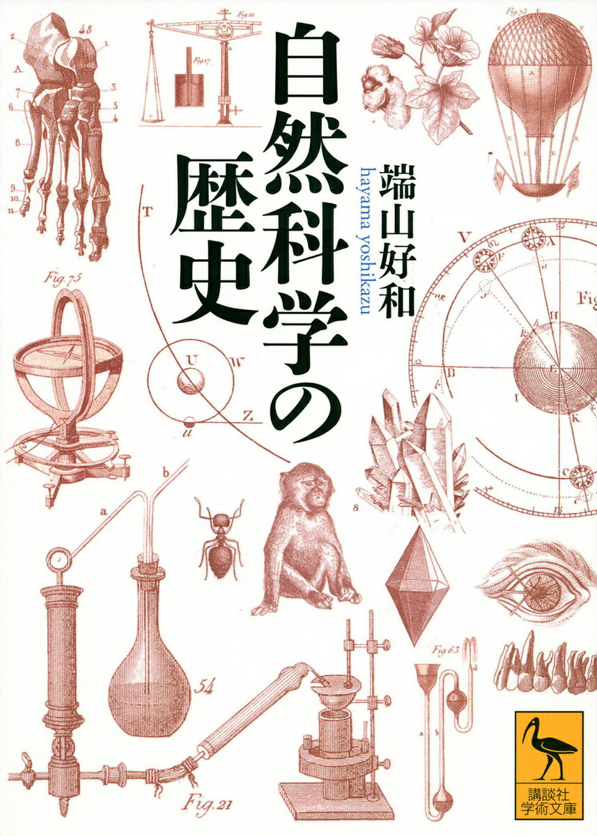 【送料無料】自然科学の歴史／端山好和