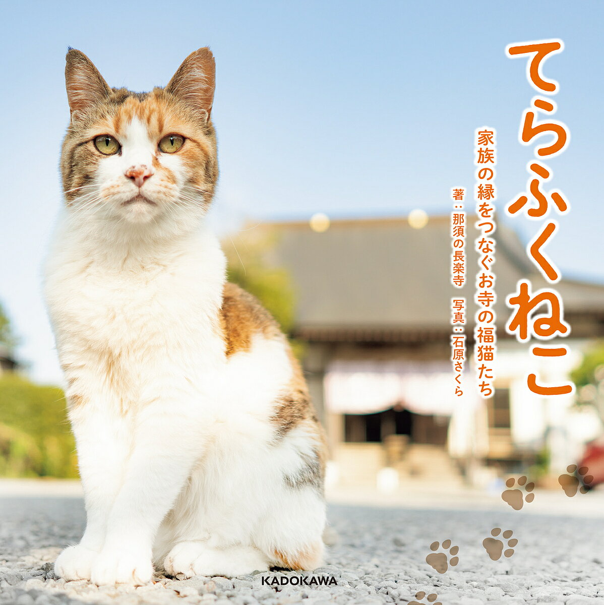 てらふくねこ 家族の縁をつなぐお寺の福猫たち／石原さくら／那須の長楽寺【1000円以上送料無料】