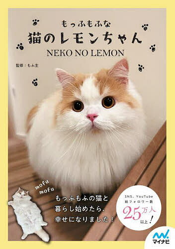 もっふもふな猫のレモンちゃん／もふ主【1000円以上送料無料】