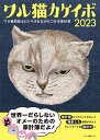 ’23 ワル猫カケイボ【1000円以上送料無料】