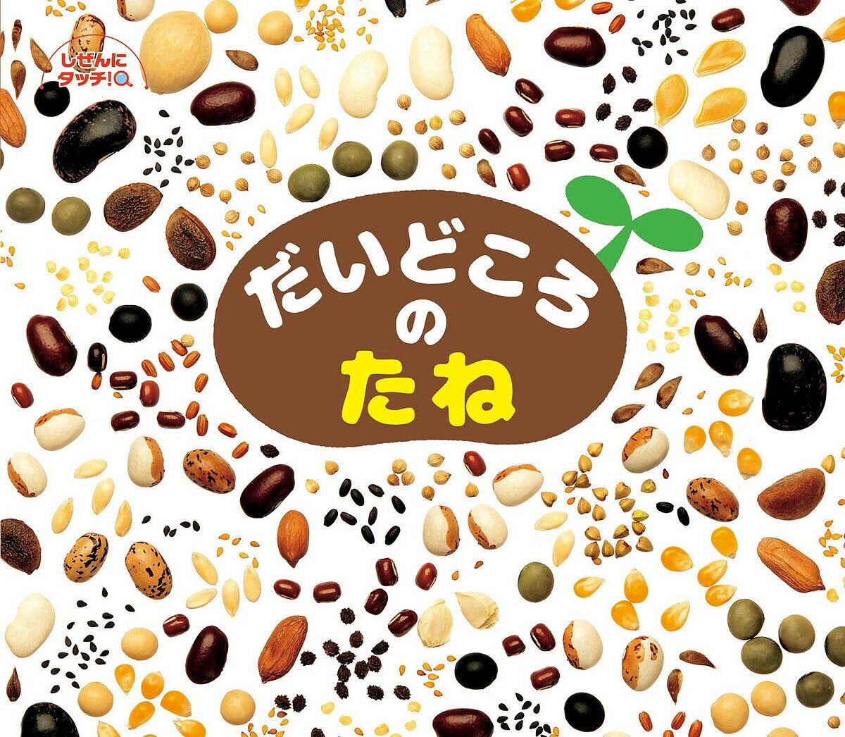 【送料無料】だいどころのたね／子供／絵本