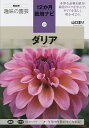 ダリア／山口まり【1000円以上送料無料】