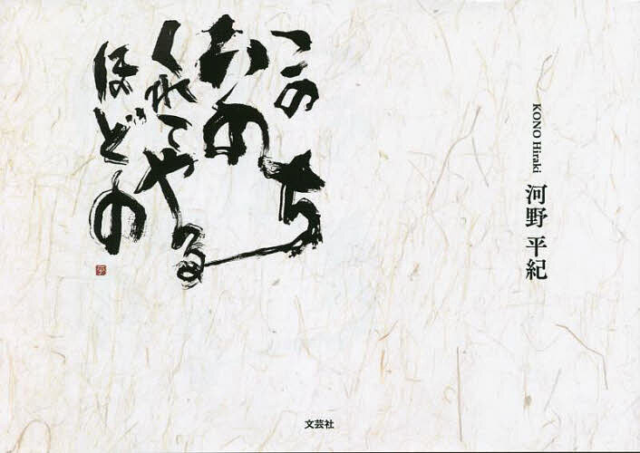 【送料無料】このいのちくれてやるほどの／河野平紀