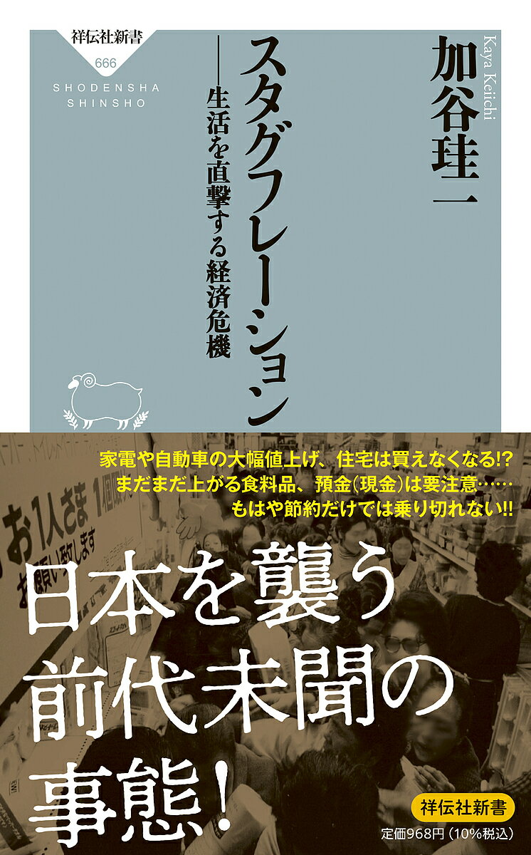 スタグフレーション 生活を直撃する経済危機／加谷珪一【1000円以上送料無料】