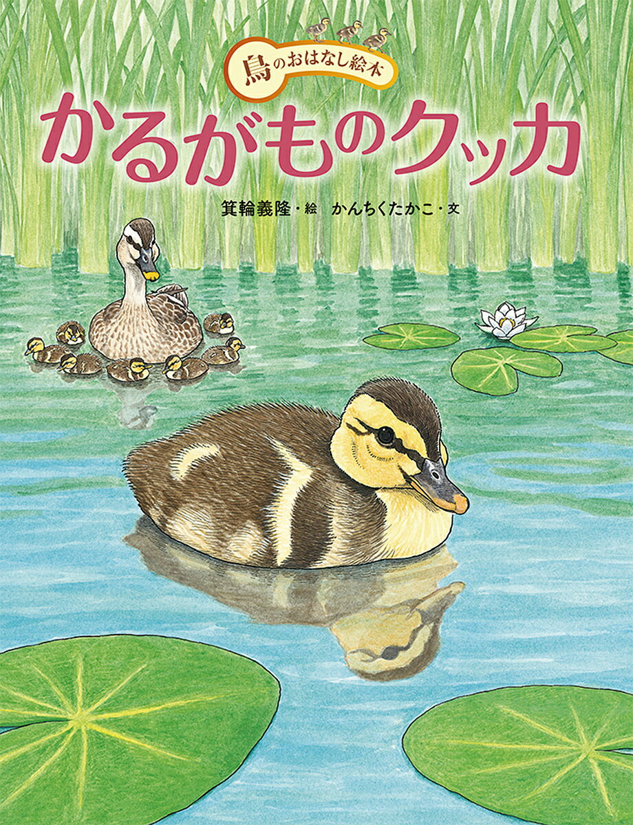 かるがものクッカ／箕輪義隆／かんちくたかこ／川上和人【1000円以上送料無料】