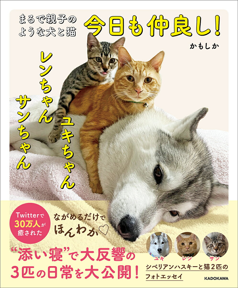 【送料無料】今日も仲良し!ユキちゃんレンちゃんサンちゃん まるで親子のような犬と猫／かもしか