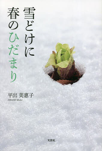 ��ɤ��˽դΤҤ��ޤ꡿ʿ����ت�ҡ�1000�߰ʾ�����̵����