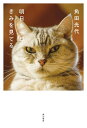 明日も一日きみを見てる/角田光代【1000円以上送料無料】