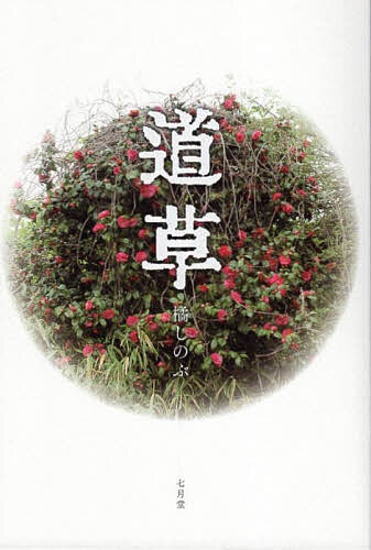 Other - 【送料無料】道草／橘しのぶ