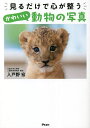 見るだけで心が整うかわいい動物の写真/入戸野宏【1000円以上送料無料】