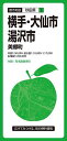 出版社昭文社発売日2022年10月ISBN9784398905734ページ数地図1枚キーワードよこてだいせんゆざわしみさとちようとしちずあきたけ ヨコテダイセンユザワシミサトチヨウトシチズアキタケ9784398905734内容紹介『都市地図』は、全国約1000市町村をラインアップした都市詳細地図。日常利用に幅広く応える、お役立ち情報を満載しています。コンビニやファストフード、ガソリンスタンドなどはロゴマークを記号化することで直観的に識別できるようにしました。◇縮尺本図1:50,000、拡大図1:10,000・1:17,000、広域図1:250,000◇商品のサイズ93.9×63.6×0.01cm◇パッケージのサイズ10.3×21.3×0.85cm◇トピック横手市、大仙市、湯沢市、美郷町の全域を1：50,000図、広域図1：250,000で、横手市、大仙市、湯沢市の中心部をより詳しい1:10,000図、1:17,000図で収録しています。別冊付録には町名索引と施設索引を収録し、役所、官公署、公共施設、学校などの検索に便利です。◇商品特徴・1枚の大判紙で市町村の姿が一目でわかり、日々の暮らしに役立つ情報や街の特徴を表現した市町村案内地図・町名施設索引付き・裏表紙の目盛は1mm間隔の定規として利用できます。地図上で距離を計測する際に便利◇利用シーン・営業やエリアマーケティング・不動産業務・分布図作成・地域の防犯、防災マップ作成・入学祝いや引越し祝いの贈答品に※本データはこの商品が発売された時点の情報です。