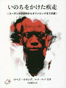 いのちをかけた疾走 スーダンの収容所からオリンピックまでの道/ロペス・ロモング/マック・タッブ/中西眞喜【1000円以上送料無料】
