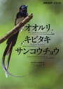 オオルリ・キビタキ・サンコウチョウ／BIRDER編集部