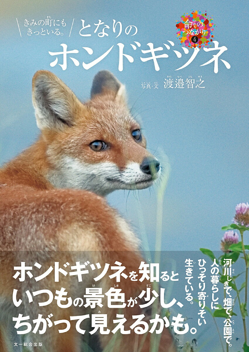 【送料無料】となりのホンドギツネ きみの町にもきっといる。／渡邉智之／子供／絵本