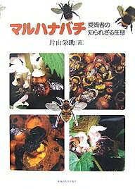 【送料無料】マルハナバチ 愛嬌者の知られざる生態／片山栄助