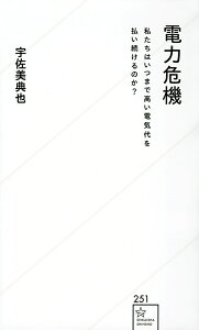 電力危機 私たちはいつまで高い電気代を払い続けるのか?/宇佐美典也【1000円以上送料無料】
