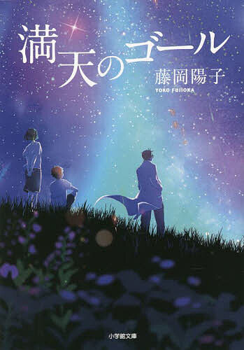 【送料無料】満天のゴール／藤岡陽子