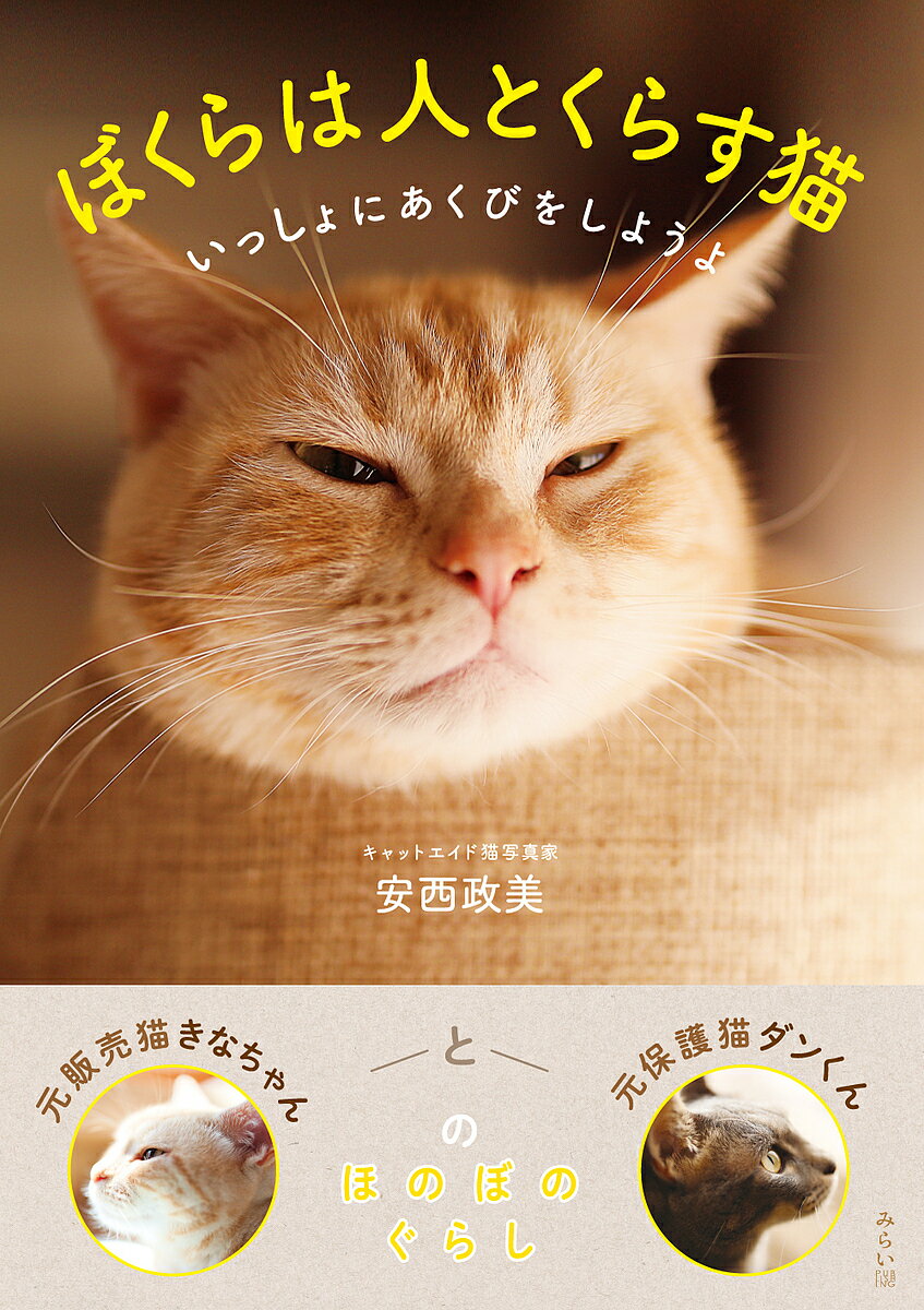 【送料無料】ぼくらは人とくらす猫 いっしょにあくびをしようよ／安西政美