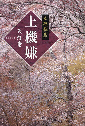 Haiku Poetry - 【送料無料】上機嫌 五行歌集／天河童