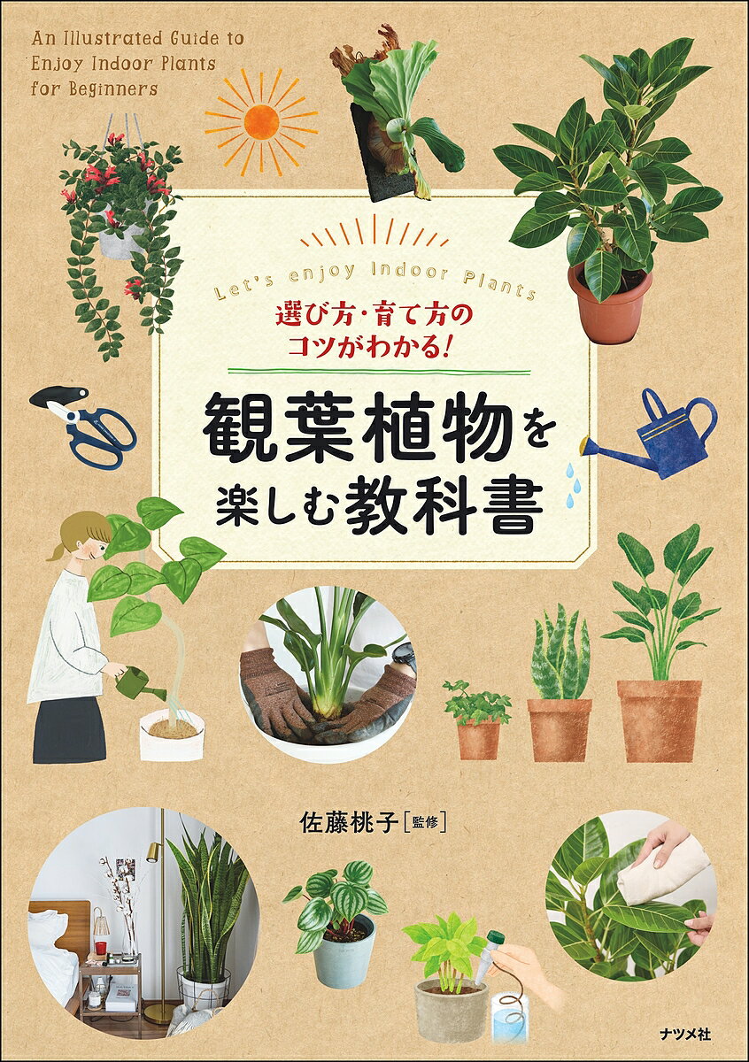 選び方 育て方のコツがわかる 観葉植物を楽しむ教科書 Let’s enjoy Indoor Plants／佐藤桃子【1000円以上送料無料】