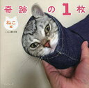 奇跡の1枚 ねこ編/にゃんこ編集部【1000円以上送料無料】