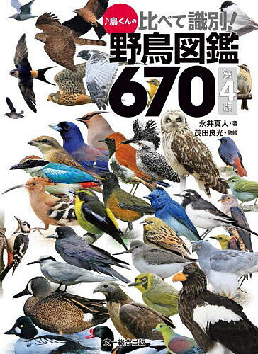 ♪鳥くんの比べて識別!野鳥図鑑670／永井真人／茂田良光【1000円以上送料無料】