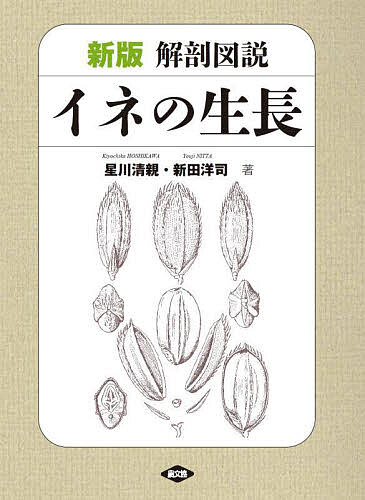 解剖図説イネの生長／星川清親／新田洋司【1000円以上送料無料】