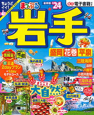 岩手 盛岡・花巻・平泉 ’24／旅行【1000円以上送料無料】