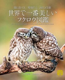 世界で一番美しいフクロウ図鑑 闇に息づき、飛翔する、謎多き生態／水口博也／先崎理之【1000円以上送料無料】