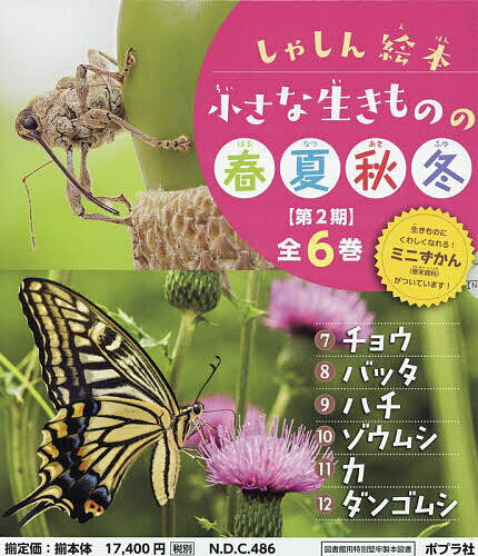 小さな生きものの春夏秋冬 しゃしん絵本 第2期 6巻セット／池田菜津美／子供／絵本【1000円以上送料無料】